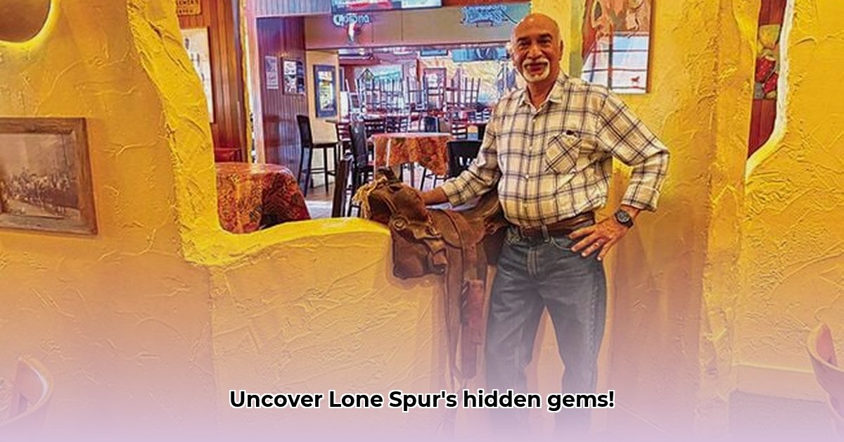 lone-spur-minnetonka-mn